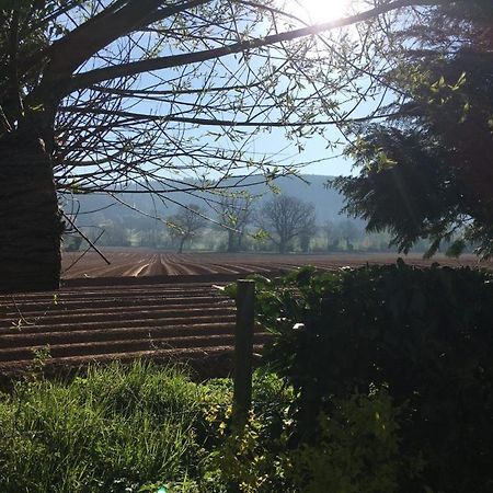 Dee'S Cottage At Brinsop Hereford Buitenkant foto