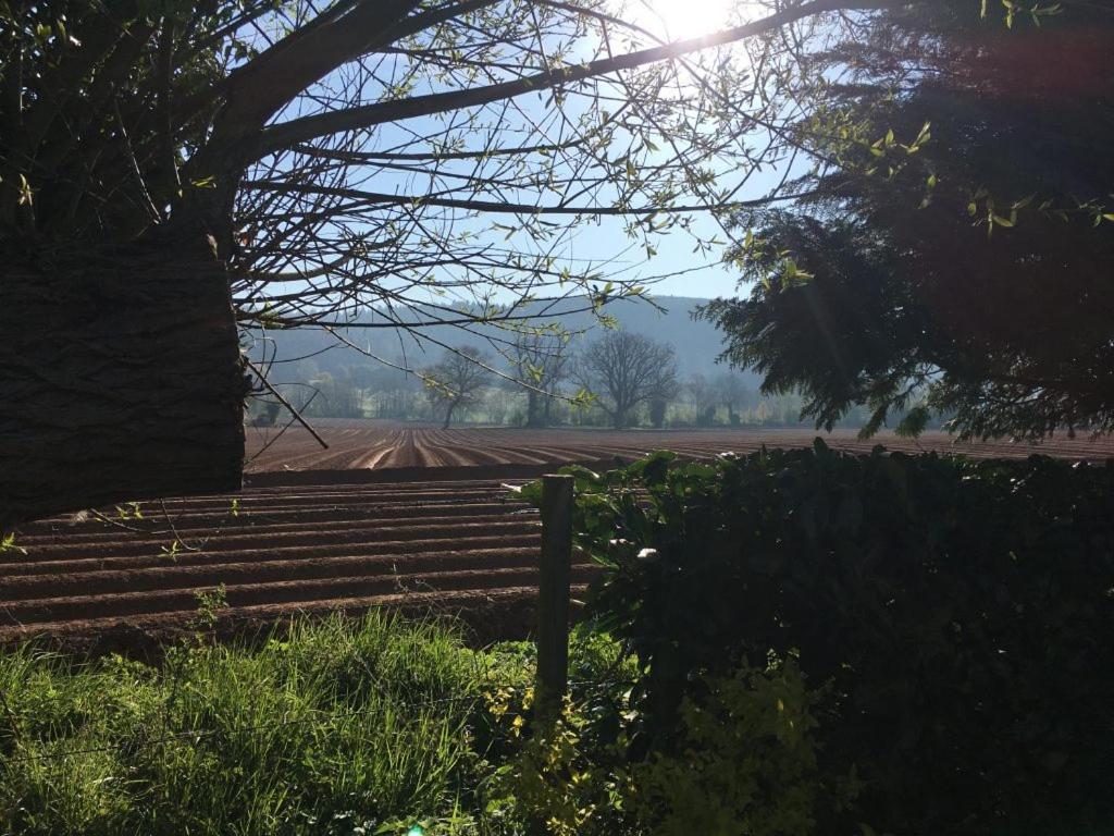 Dee'S Cottage At Brinsop Hereford Buitenkant foto
